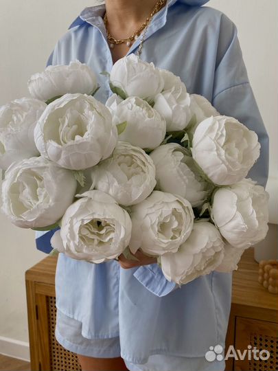 Декоративные цветы пионы