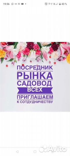 Посредник рынка Садовод