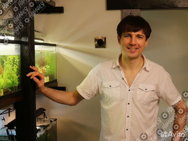 Профессиональное обслуживание аквариумов