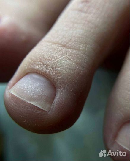 Красота и здоровье