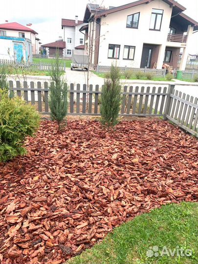 Мульча кора лиственницы