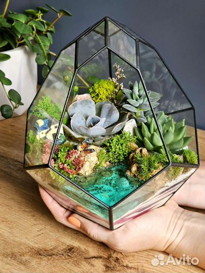 Флорариум, моссариум, подарок