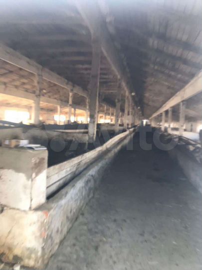 Производство, 5000 м²