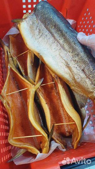 Помощник продавца на рыбу (женщина)