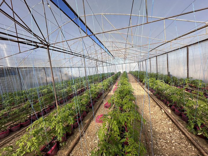 Дом 10 м² на участке 1 сот.