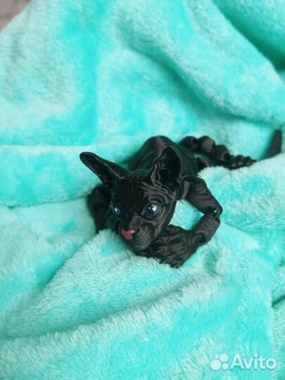 3D Котёнок сфинкс - Буся