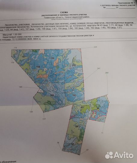 Продается лес. ООО с правом аренды лесного участка