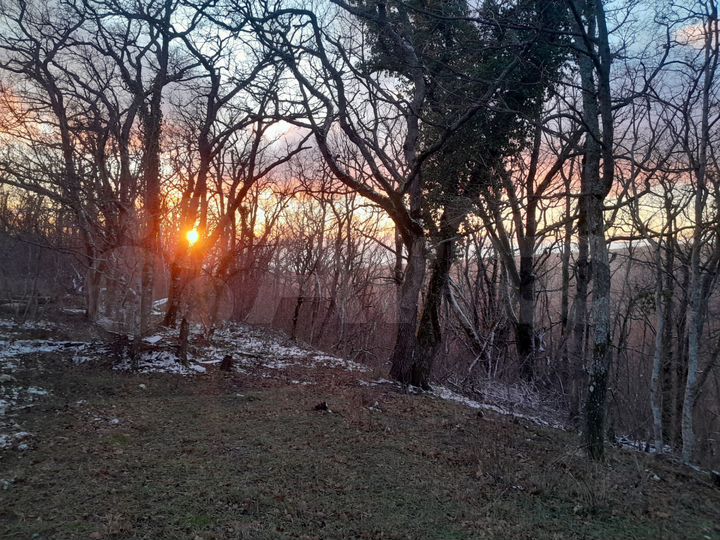 Участок 5 сот. (СНТ, ДНП)