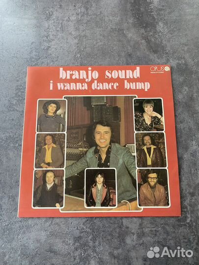Виниловая пластинка Branjo Sound