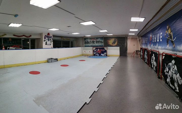 Бросковая зона хоккейная