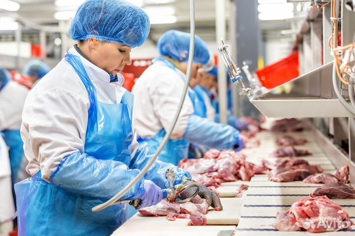 Работа на птицефабрике: сменный график Пермь