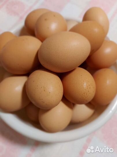 Домашние куриные яйца