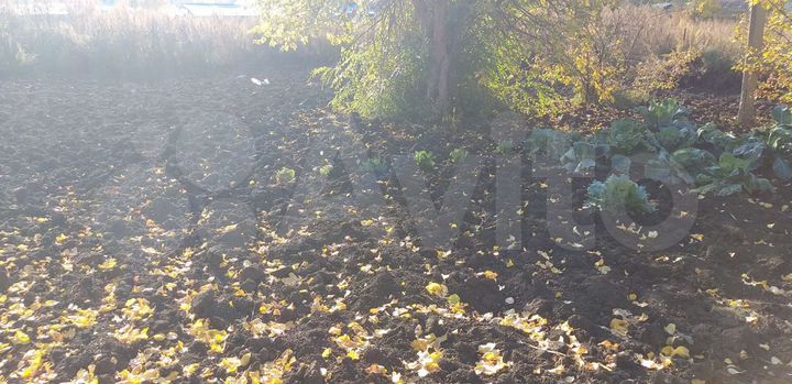 Дом 80 м² на участке 27 сот.