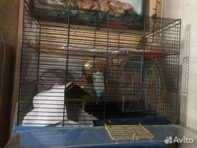 Клетка для грызунов большая