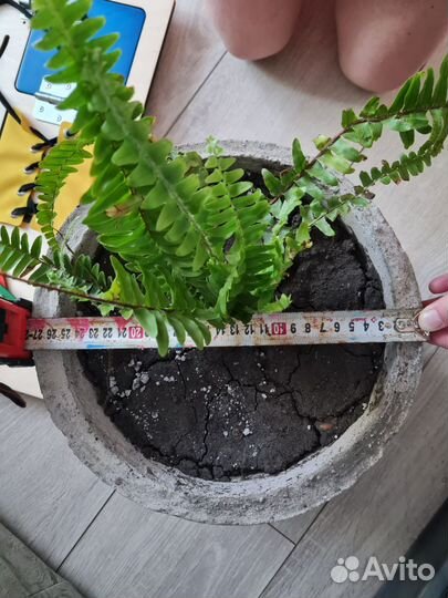 Кошпо в стили лофт