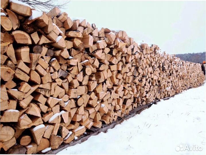 Дрова осиновые