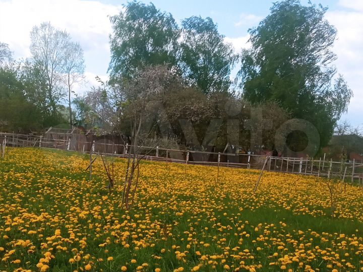 Участок 70 сот. (СНТ, ДНП)