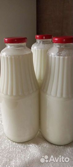 Молоко козье. Сыр. Творог. Яйцо. Козье мыло