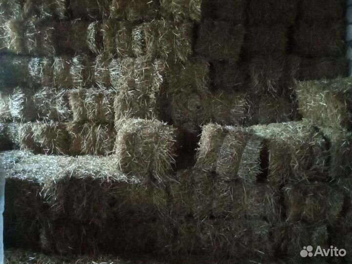 Сено в тюках,солома в тюках, солома в рулонах