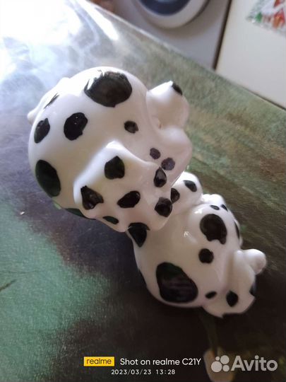 Сабачка стеклянная