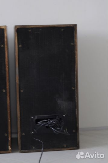 Акустическая система колонки вега 50-ас-104