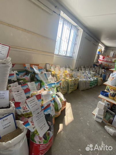 Патока свекловичная (меласса)