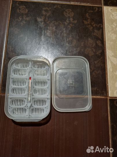 Рулетка для собак flexi