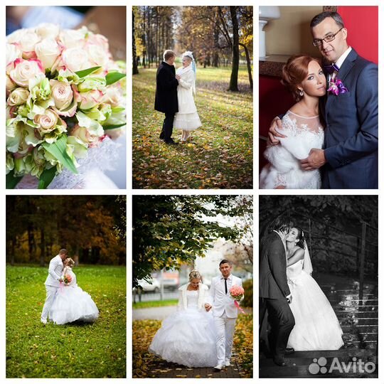 Фотограф / Видеограф / Преподаватель