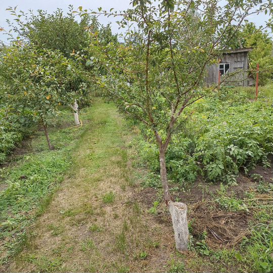 Дача 10 м² на участке 5 сот.