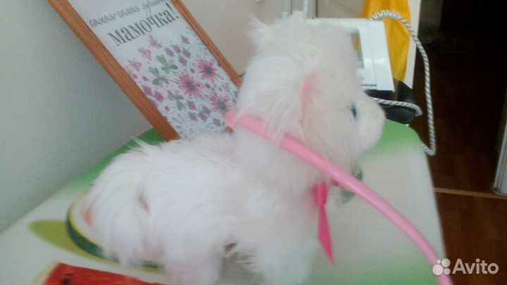 Интерактивный котик