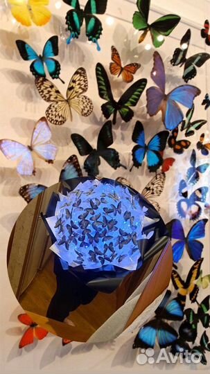 Светящийся букет из бабочек