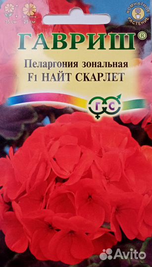 Герань пеларгония