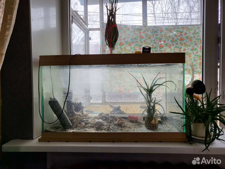 Аквариум для рыб