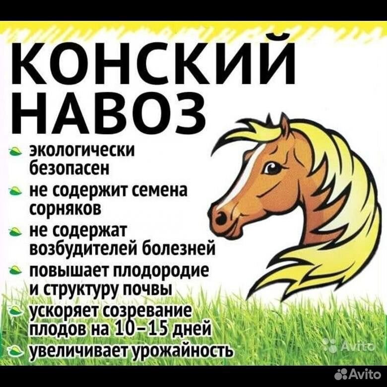 Конский навоз перегной