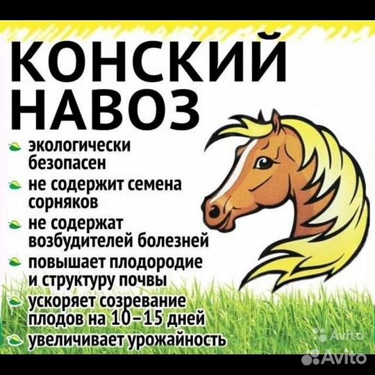 Конский навоз перегной