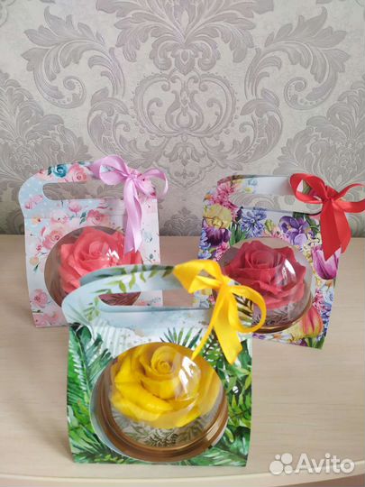 Роза в куполе