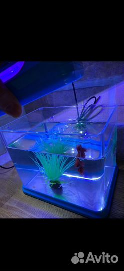 Аквариум на 2.5л