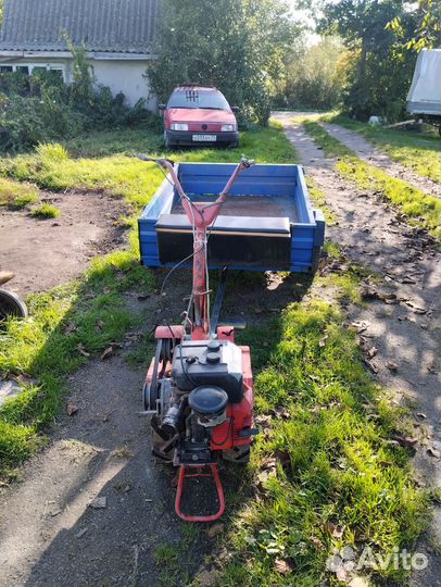 Мотоблоки и культиваторы