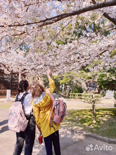 Репетитор по японскому языку
