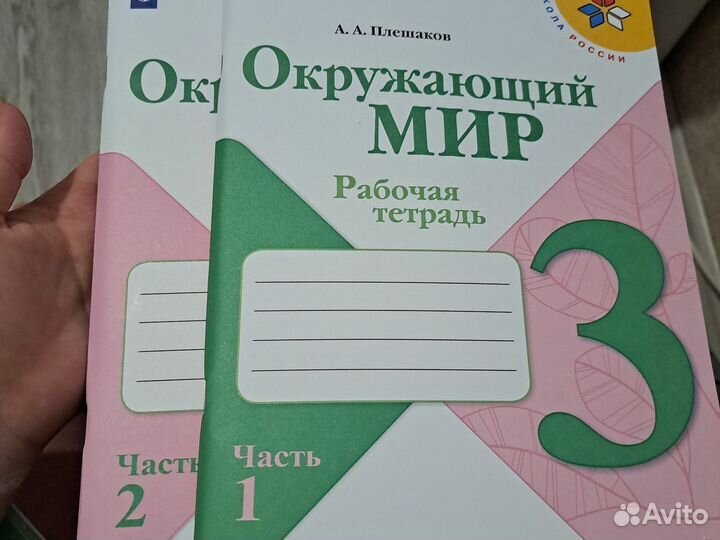 Рабочие тетради 3 класс окружающий мир 2 части