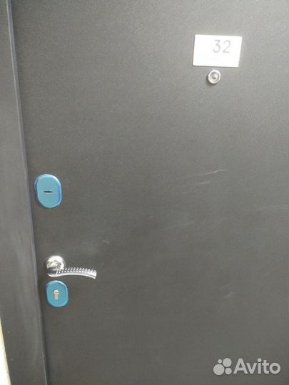 Входная металлическая дверь