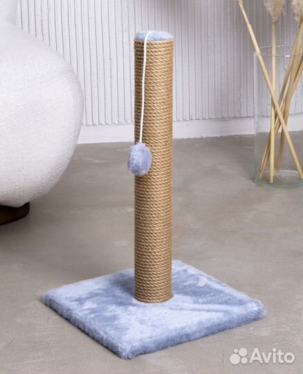 Когтеточка Новая