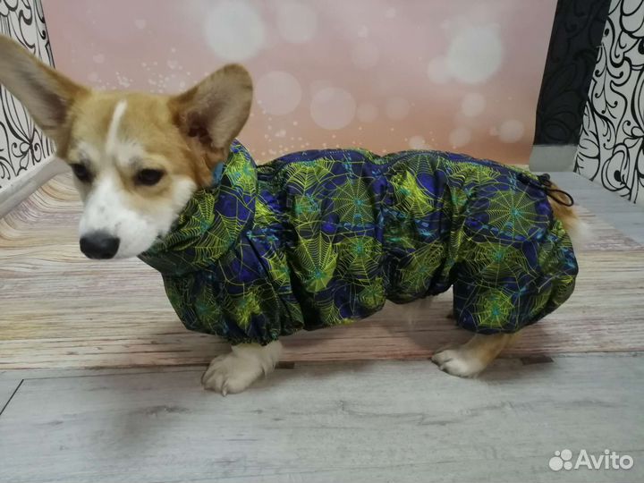 Дождевики для собак