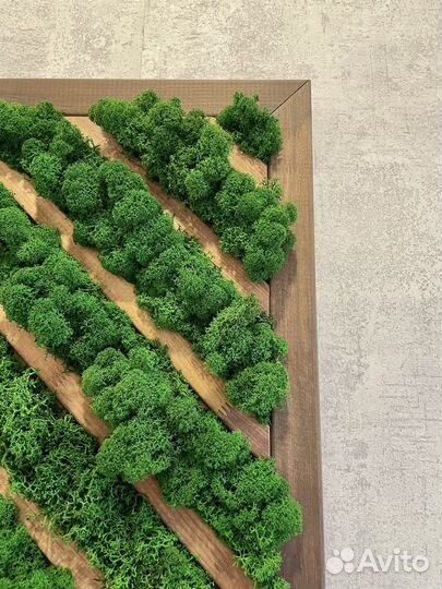 Мох стабилизированный фитостена фитокартина панно