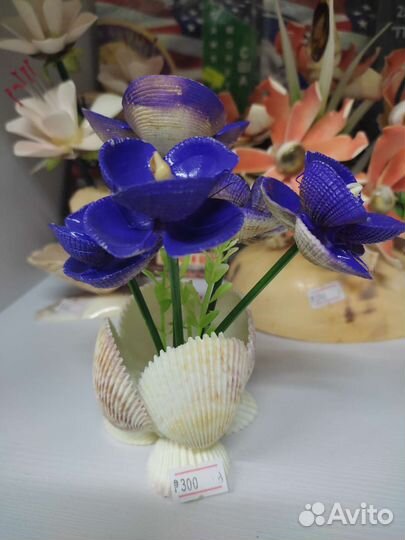 Сувениры из ракушек