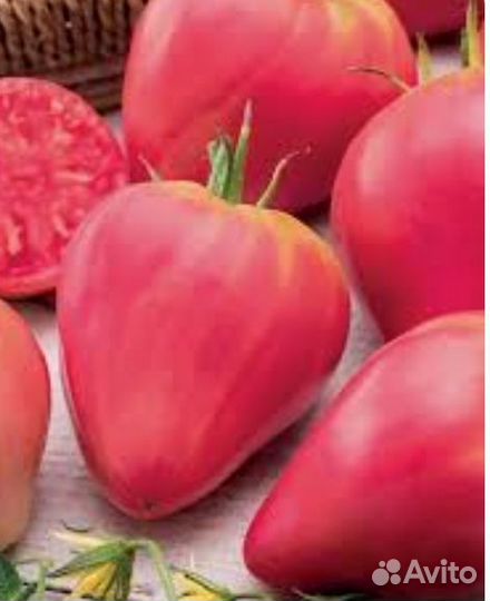 Рассада томаты, баклажаны, перцы