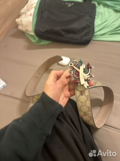 Ремень гуччи селнапинэс