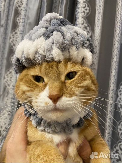 Шапка для кошек