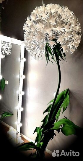 Одуванчик гигант