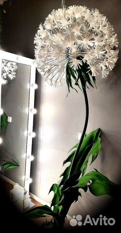 Одуванчик гигант